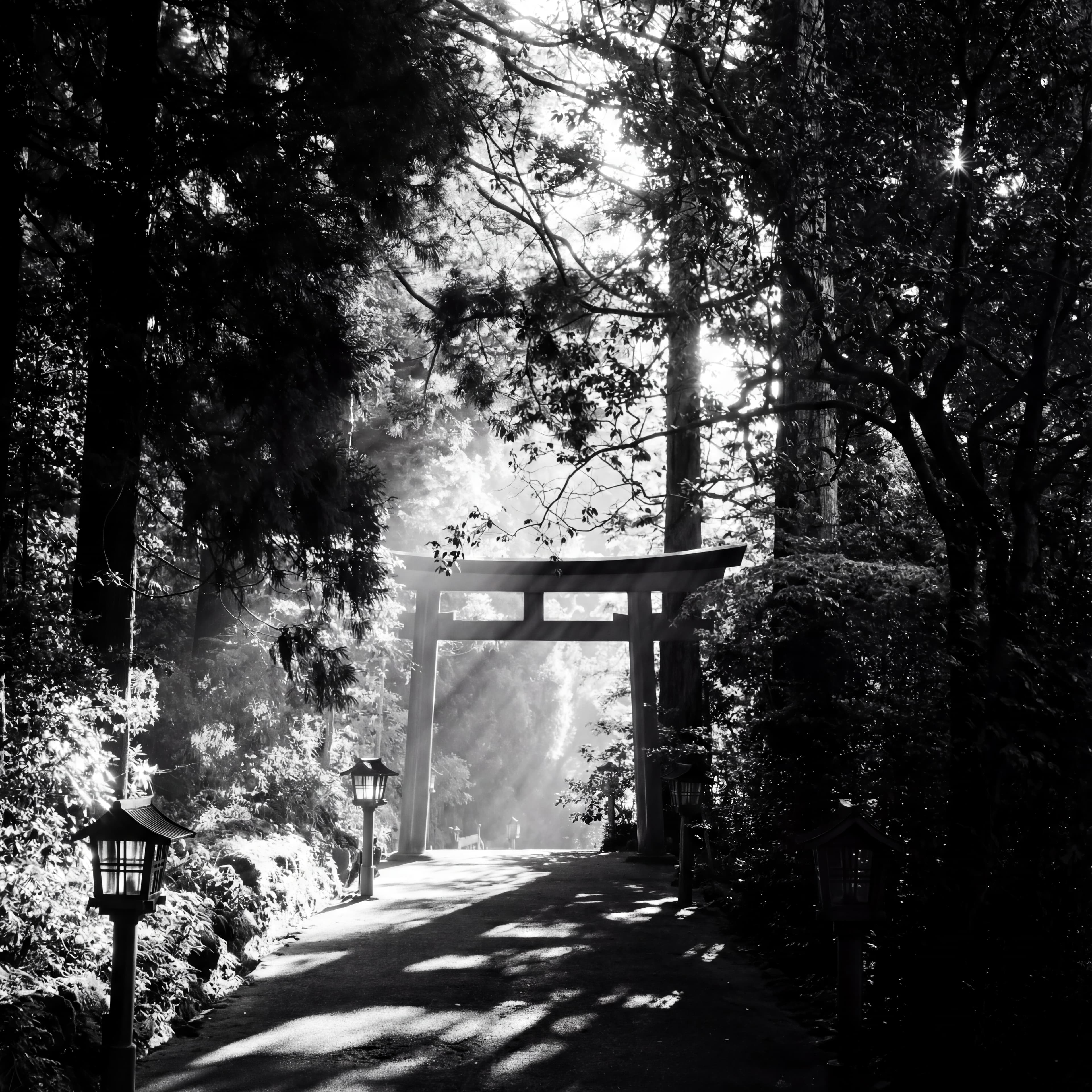 Verachi - Relationship Intelligence